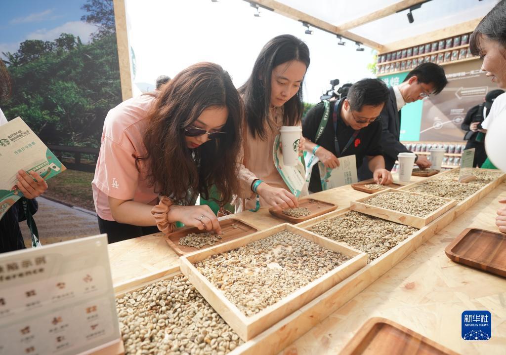 棋弈圈棋牌